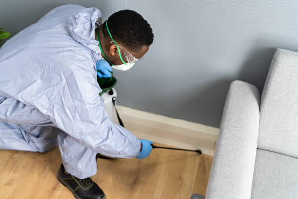 Best Fumigation Services  in Essex, MD